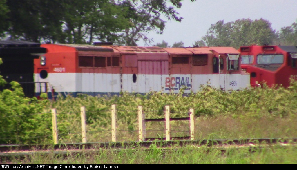 BCOL 4601
